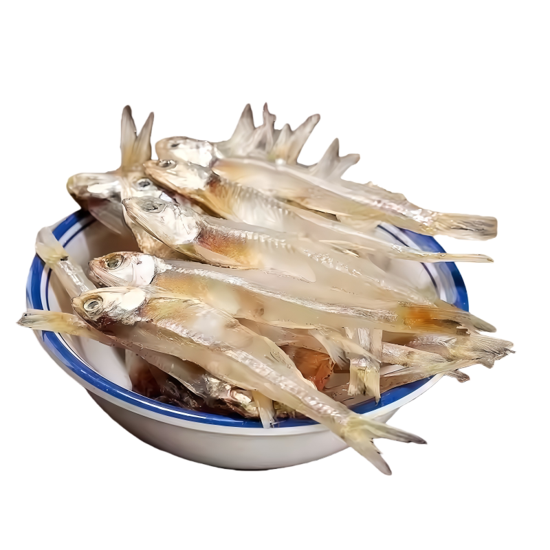 北海海燕海蜒金线银鱼干批发