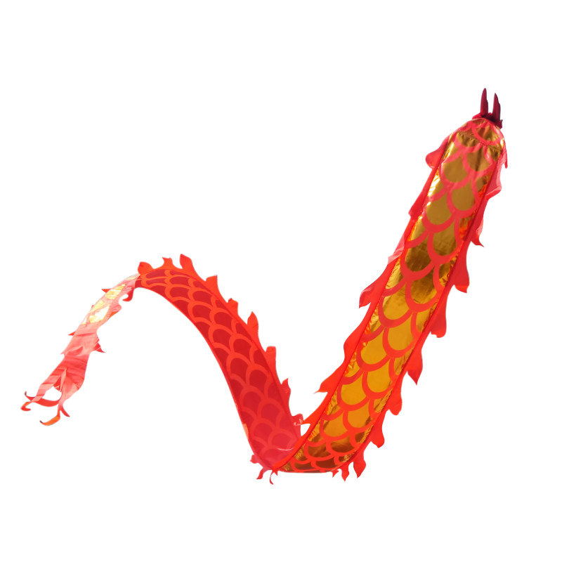 甩龙舞龙彩带健身广场耍龙带中老年舞龙初学儿童舞龙立体龙舞龙