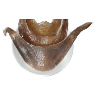 公甲鱼裙边杀好食用装水鱼汉寿王八团鱼鳖冷冻商用水发裙边甲鱼肉