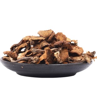 永强榛子东北铁岭特产野生优质特色榛蘑晾干食用菌精品半斤袋装