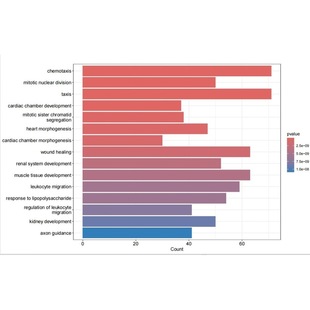 16s扩增子测序数据处理和分析 binning分箱 宏基因组分析