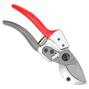 剪枝剪刀日式刀头剪树枝修果树花剪园林园艺修枝剪神器工具