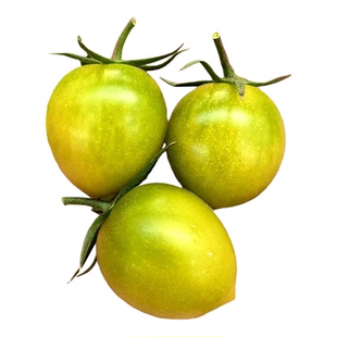 青甜2号绿色小番茄种子苗秧樱桃西红柿种籽孑黄妃夏洛特圣女果苗