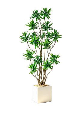 仿真绿植百合竹免打理装饰假植物