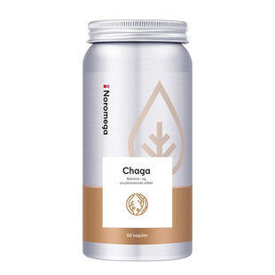 现货 挪威Noromega原装进口白桦茸精华软胶囊桦褐孔菌血糖60粒