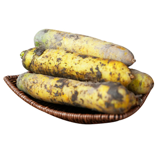 新疆黄萝卜皮牙子胡萝卜手抓饭配菜组合农家自种餐饮直供新疆直发