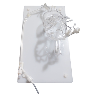 ENOVO颐诺冠脉介入训练模拟心内冠脉介入治疗训练学习教具 医生培训 微创介入检查教学 医生培训介入放射学