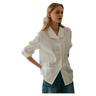 高级白领时尚显瘦打底衬衫女2025秋季洋气高端好看高级感内搭衬衣