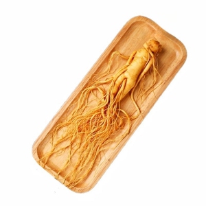 森美仁长白山人参保鲜参煲汤泡酒