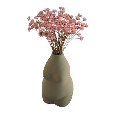 自然风干小雏菊桌面摆设卧室装扮