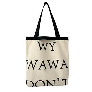 手提袋子外出时尚帆布包女2026年新款可爱饭盒布袋包上班族小拎包