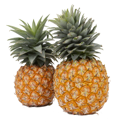 海南芒果凤梨闭眼入不踩雷