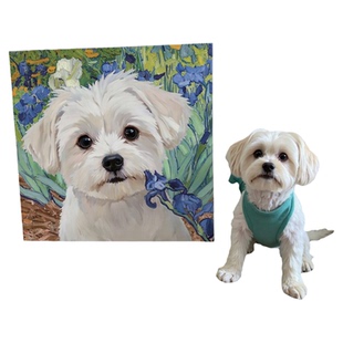 宠物定制数字油画猫咪狗狗挂画玄关客厅装饰画手工画像萌宠的礼物