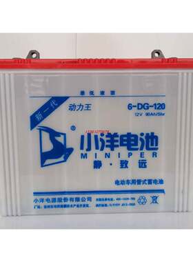 小洋蓄电池6DG120A48V60V72V电动载客三轮车拉坯车牵引用电瓶