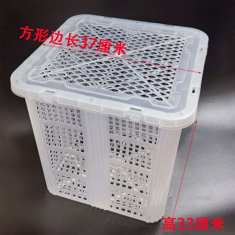 方形加厚塑料筐箩荔枝圣女水果运输周转筐收纳箱整理洗蔬菜大筐篮