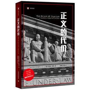 正义的代价 译文纪实 在商业精英与权力精英合谋的时代 谁来守护正义 记录两位律师历经十四年艰辛将梅西公司老板绳之以法的故事