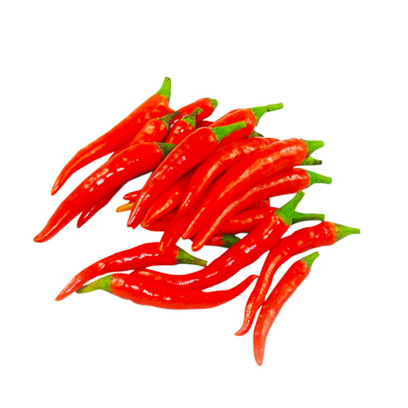 四季小米椒朝天椒辣椒种子可食用香辣椒庭院阳台盆栽蔬菜种子