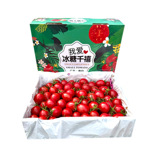 北京当日达】广东电白冰糖千禧圣女果礼盒装超甜小番茄新鲜西红柿