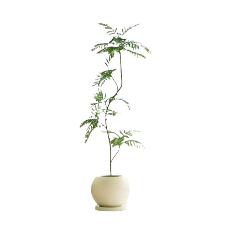 轻奢黑金刚树脂花盆大号风高级感橡皮树胖盆大花盆客厅球形口径