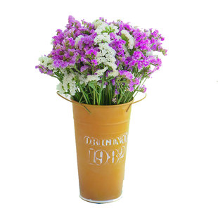 玻璃花瓶花器大口径马口铁罐牛皮纸袋铁皮桶水培轻奢装饰花卉桌面