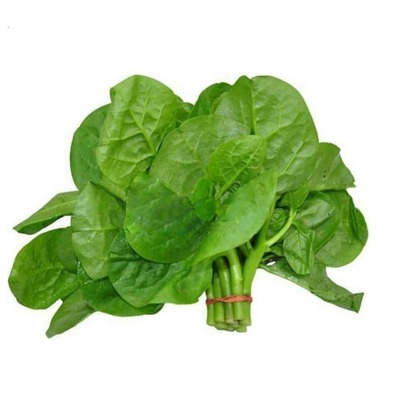 大叶木耳菜种子耐高温阳台盆栽