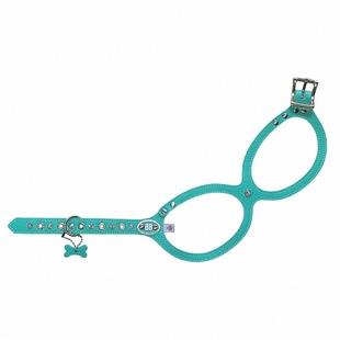 【奢华系列】buddybelts加拿大bb胸背小型犬猫狗牵引项圈蒂芙尼蓝