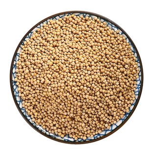 京皖 炒白芥子 中药饮片 中草药材抓配 无熏硫 GMP标准官方旗舰店