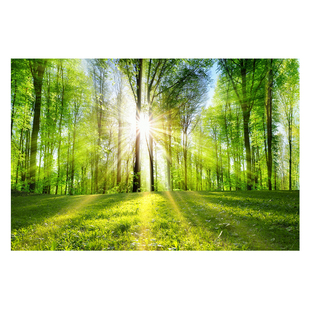 森林风景画墙画墙贴壁画贴纸壁纸自粘墙纸贴画客厅卧室背景墙装饰