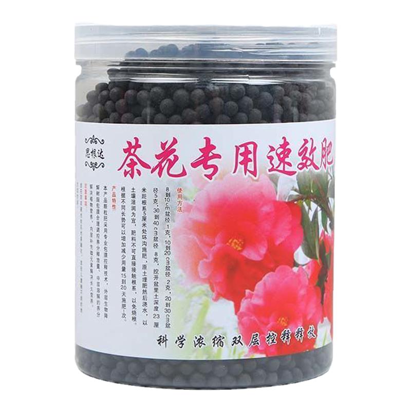 茶花肥料专用料四季山茶花肥料