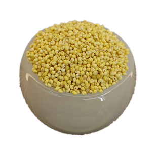 大黄米25年农家新货黏米粘糯粽子专用五谷杂粮黍米东北黄米饭500g