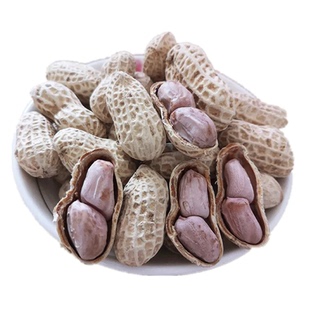 新货水煮花生白晒咸干花生米带壳炒货下酒菜追剧坚果特产零食