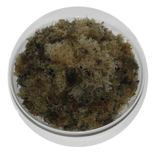 四川特产竹燕窝野生竹燕窝竹花竹菌酒店食材500g包邮买二送一