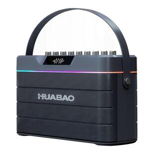 华宝T9广场舞音响户外K歌移动大功率新款多功能重低音一体机音箱