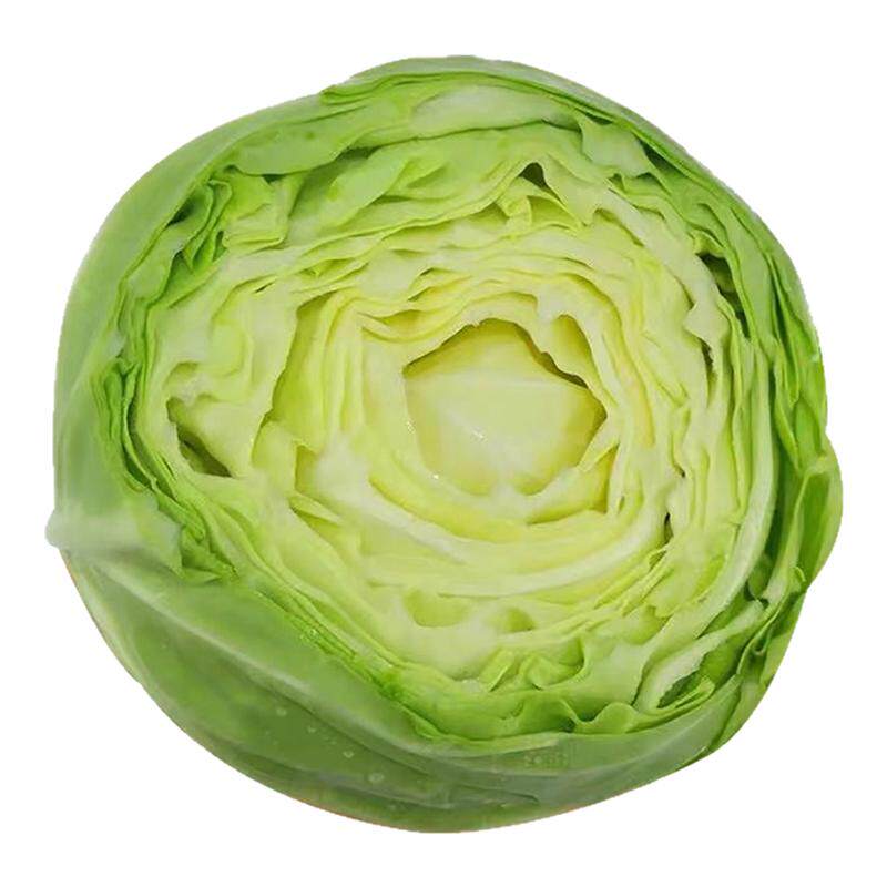 绿甘蓝苗秧带土球耐寒大头菜种子