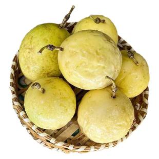 皱皮钦蜜9号黄金百香果新鲜现摘广西黄皮皱皮果黄晶果浆当季纯甜