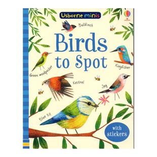 英文原版 usborne贴纸书 Mini Books Birds to Spot 鸟类主题活动书 附贴纸 幼儿启蒙认知读物 宝宝益智游戏书