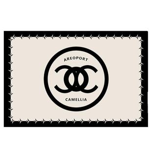 现代简约入户门地垫丝圈门垫进门脚垫玄关家用垫子门内门外防滑垫