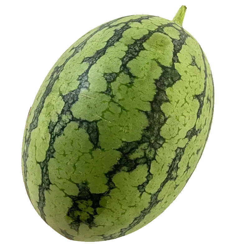 正宗新鲜2k小西瓜当季手掰薄皮