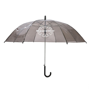 【特价】Raw Emotions 24SS Clear Plastic Umbrell 透明太阳雨伞