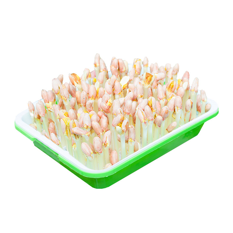 花生芽种植盘盒神器专用种子籽无土栽水培箱生发豆芽苗菜机育苗盆