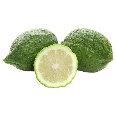 【现货】正宗广东无籽香水柠檬果园直发  奶茶店专用新鲜柠檬
