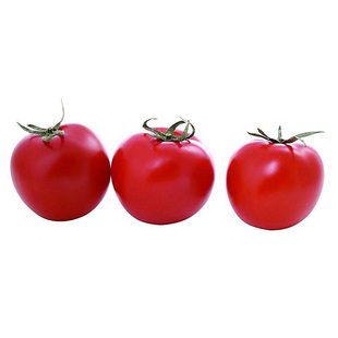 粉丽人沙瓤番茄种子 多汁西红柿苗蔬菜籽粉果特甜面盆栽 老品种孑