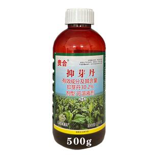 贵合 30.2%抑芽丹抑制腋芽生长生长调节剂
