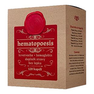 捷克造血胶囊120粒补铁片圣希尔德佳德千年传承养元气睡眠气色好