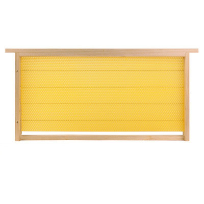 中蜂巢础八千成品巢框蜂巢意蜂全套带框蜜蜂蜡片巢脾蜂箱养蜂工具