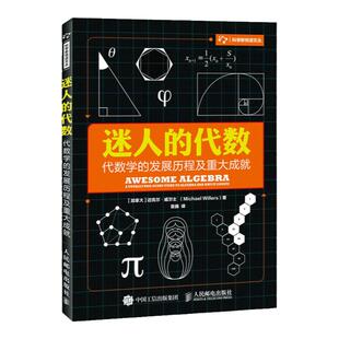【旗舰店正版】迷人的代数 代数学的发展历程及重大成就 数学 代数 难题书籍
