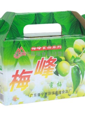 梅峰蜜梅蜂蜜青梅孕妇酸甜小零食