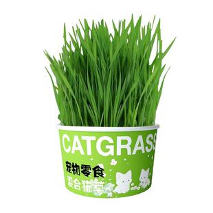 鹦鹉麦芽草鸟粮大麦种子啃咬饲料促进消化解闷防啄毛营养鸟草饲料