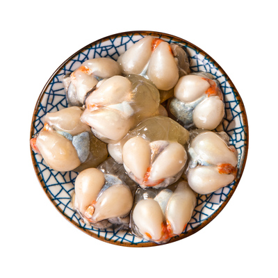 昌鲜园特大墨鱼蛋舟山顺丰直发
