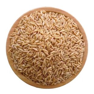 新货农家自产燕麦裸燕麦东北五谷杂粮麦粒粗粮粗粮五谷杂粮